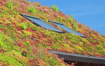 Homington living roof systems